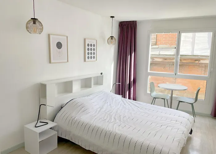 Proche Gare Et Sanctuaire Apartment Lourdes